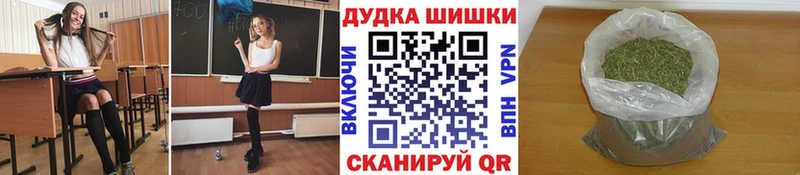 где можно купить наркотик  Нолинск  Конопля тримм 
